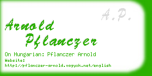 arnold pflanczer business card